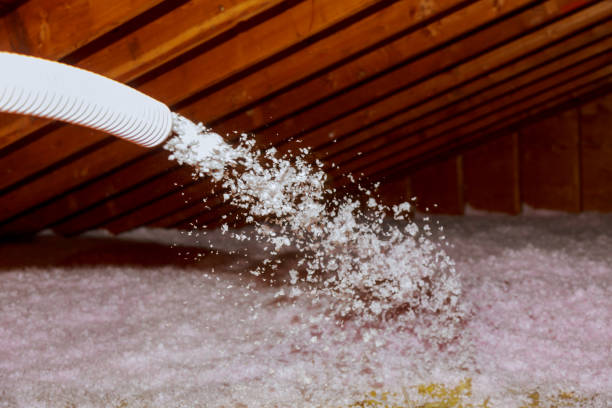 Best Best Insulation Companies  in Sumas, WA