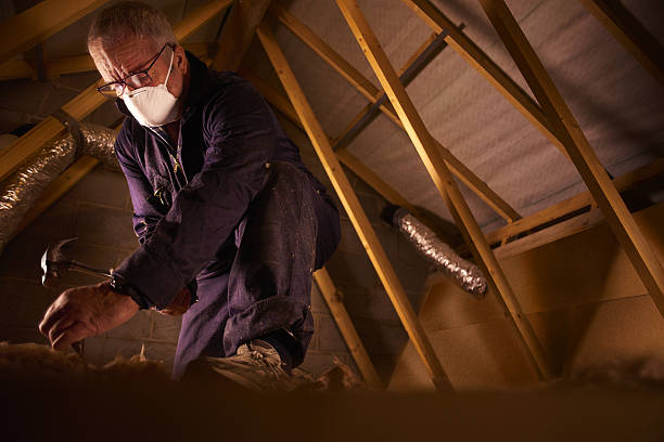 Best Attic Insulation Installation  in Sumas, WA